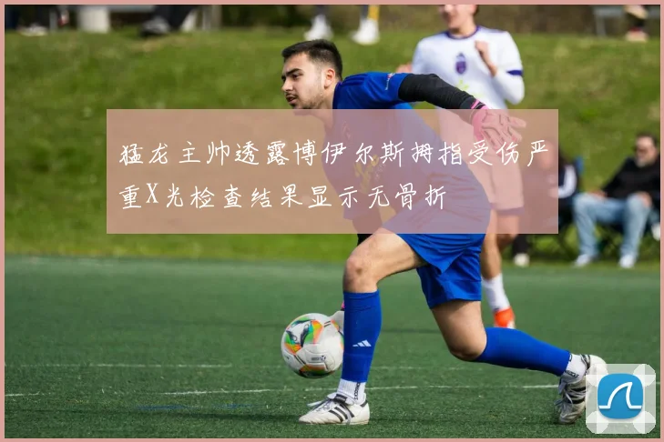猛龙主帅透露博伊尔斯拇指受伤严重X光检查结果显示无骨折