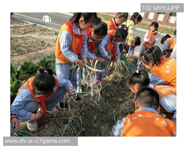 KD回应主场空座现象称休斯敦比赛观众习惯在第二节中段才到场